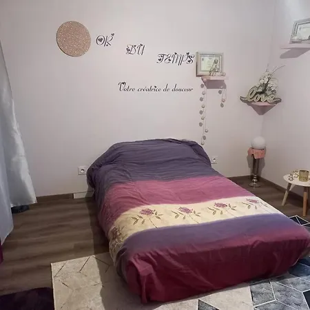 Daire Maison Cosy Avec Possibilite De Massage Individuel *