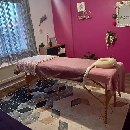 Maison Cosy Avec Possibilite De Massage Individuel Daire